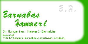 barnabas hammerl business card
